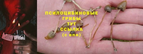 прущая мука Киренск