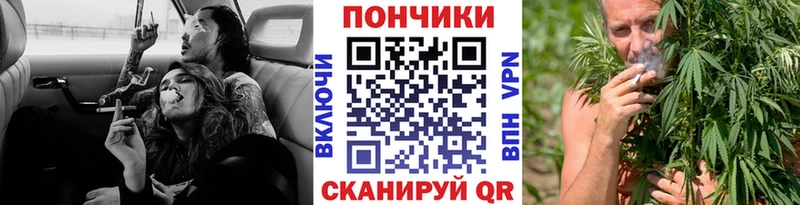 Бошки марихуана сатива  Купить закладки  Ветлуга 